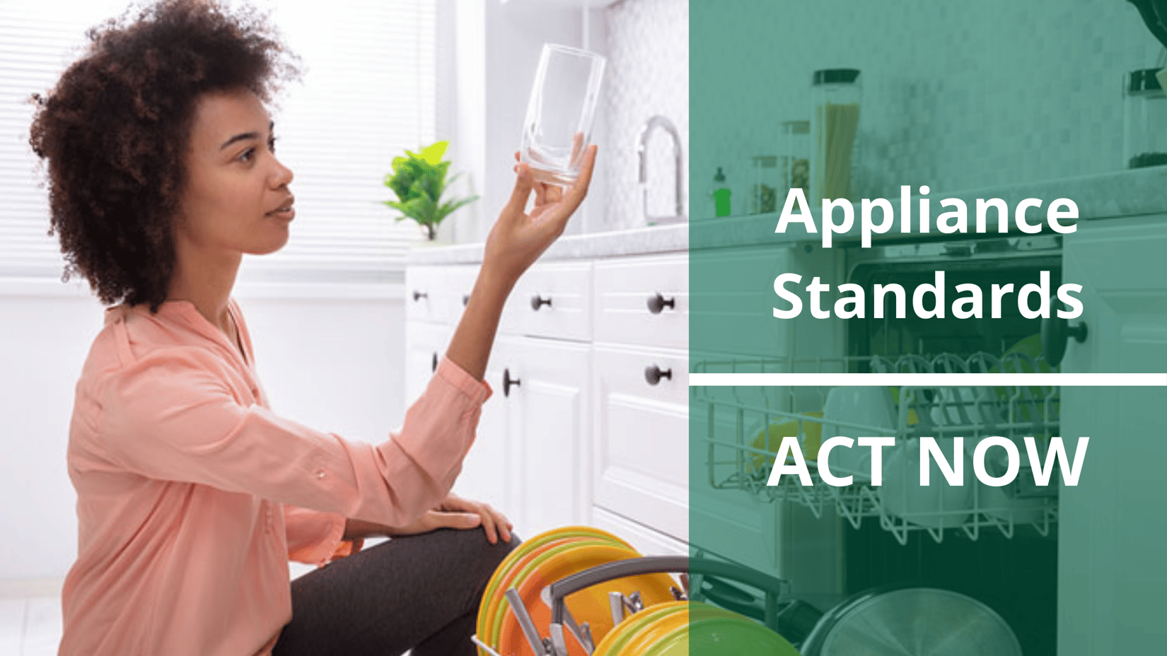 Appliance Standards & Shave the Peak Action Week for Efficiency